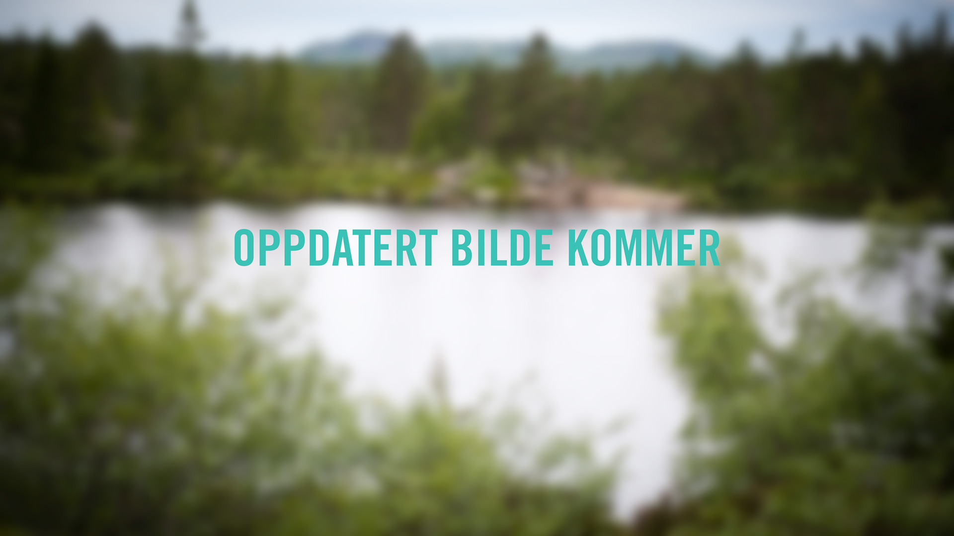 Bilde kommer
