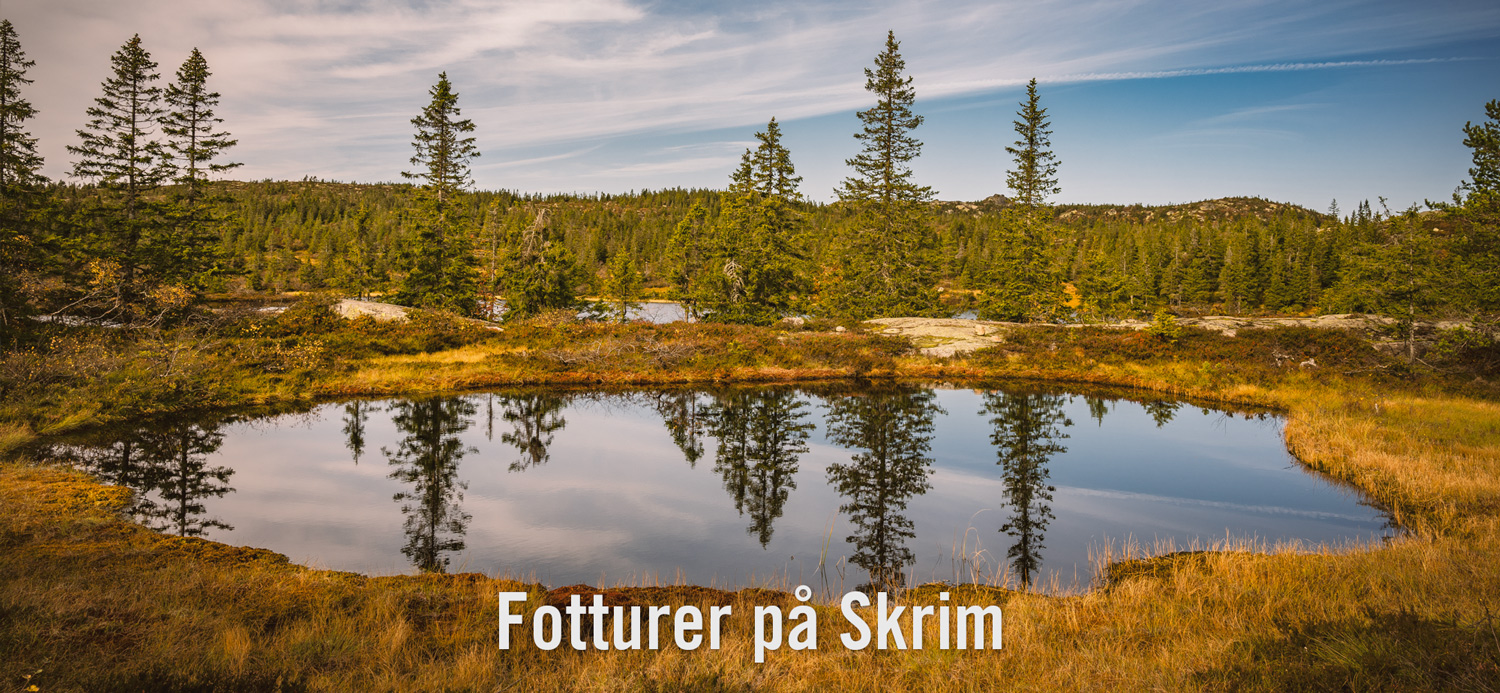 Terrenget på Skrim