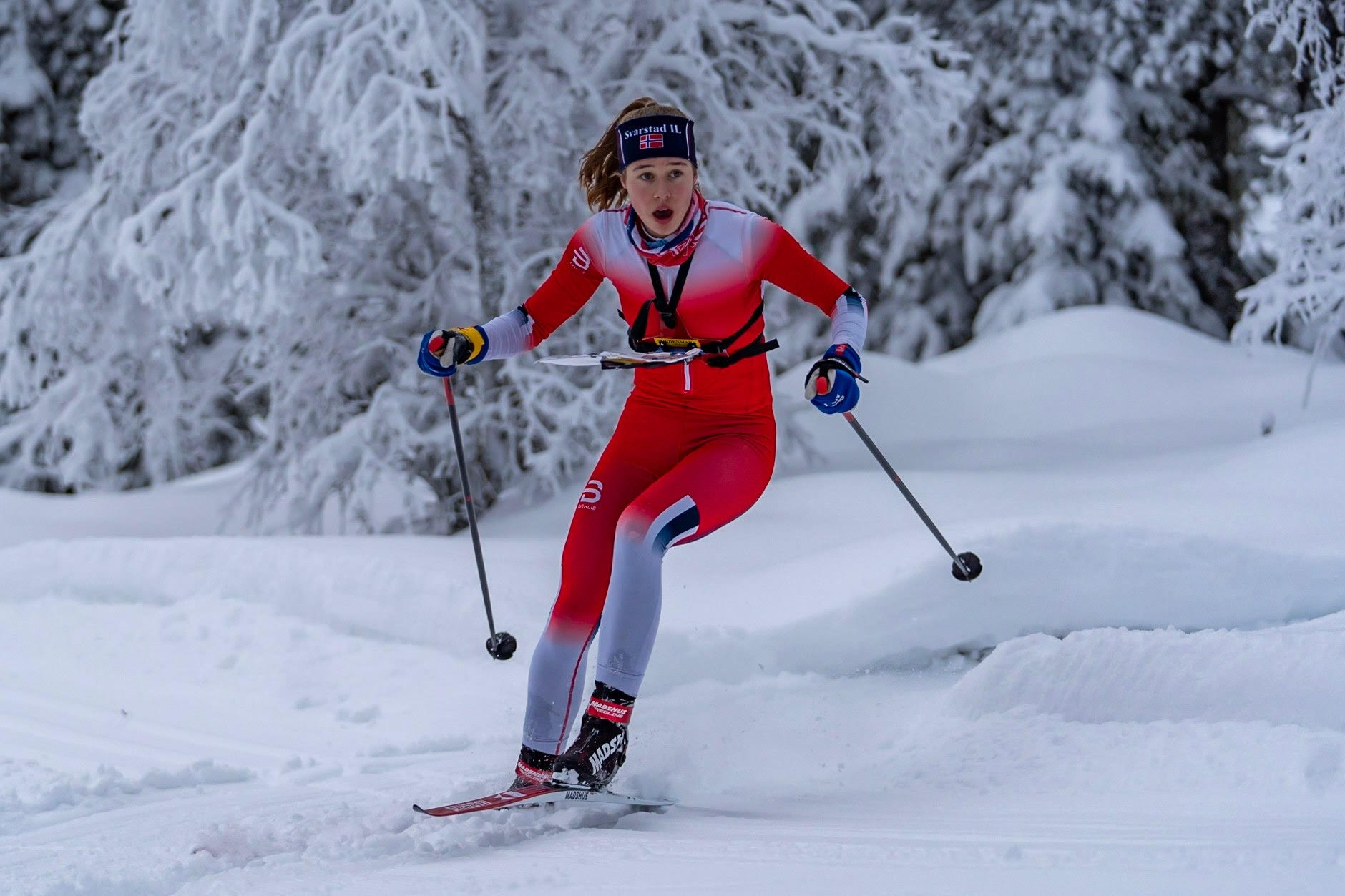 skiorientering norgesmesterskap, foto: Terje W Pettersen, Norges orienteringsforbund 