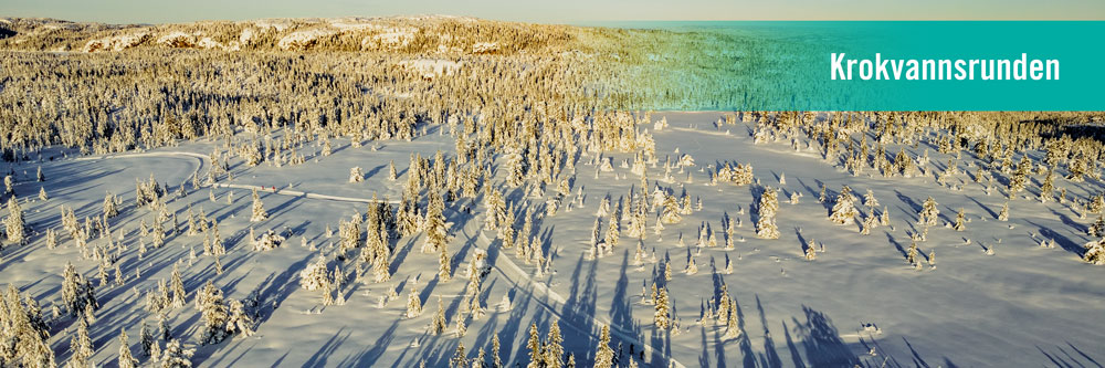 Skrim på vinteren sett fra drone