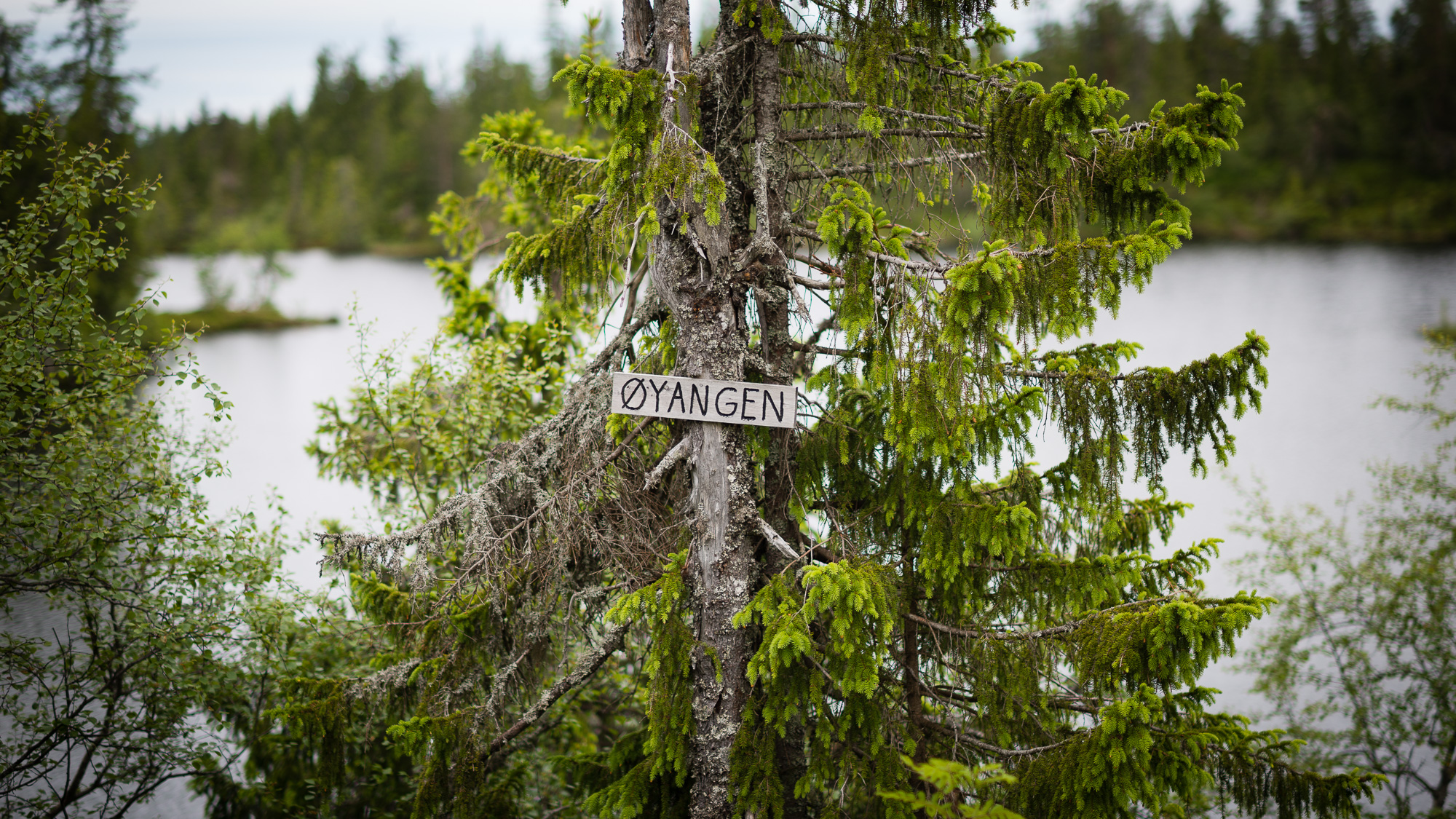 Øyangen