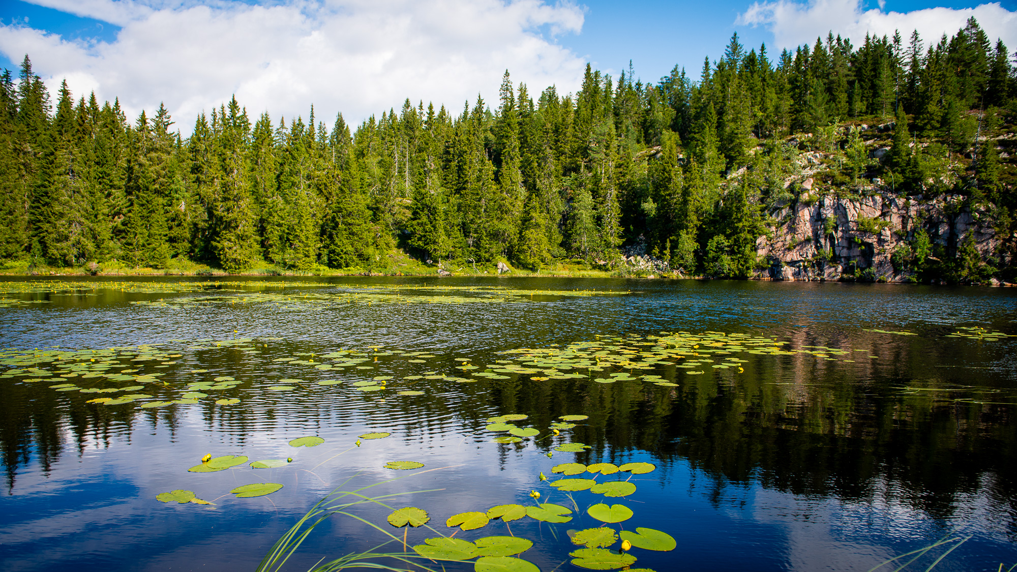 Omholtvann