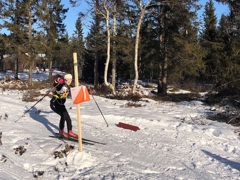 NM Skiorientering på Skrim. Foto: Hege Melby